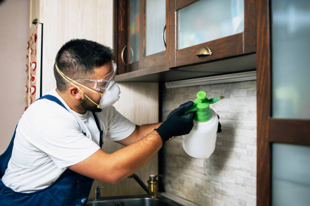 Best Best Pest Control Companies  in Holton, KS