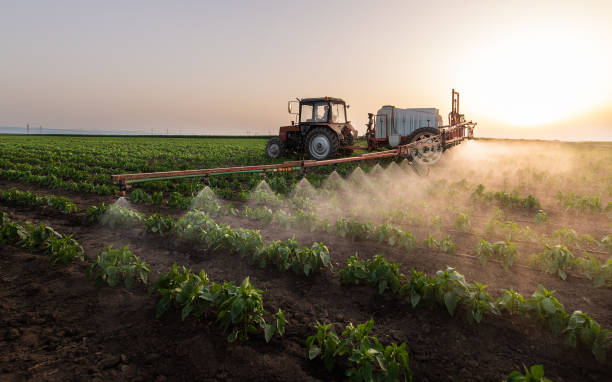 Best Ant Control Services  in Holton, KS