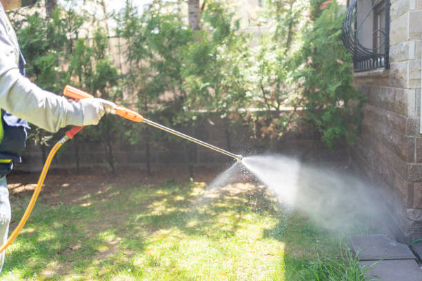Best Pest Prevention Services  in Holton, KS