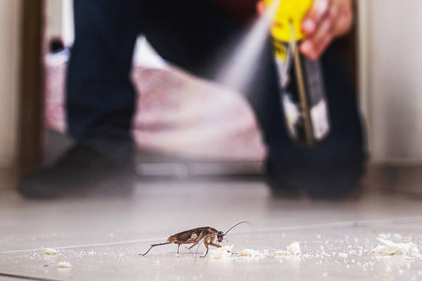 Best Pest Inspection Near Me  in Holton, KS